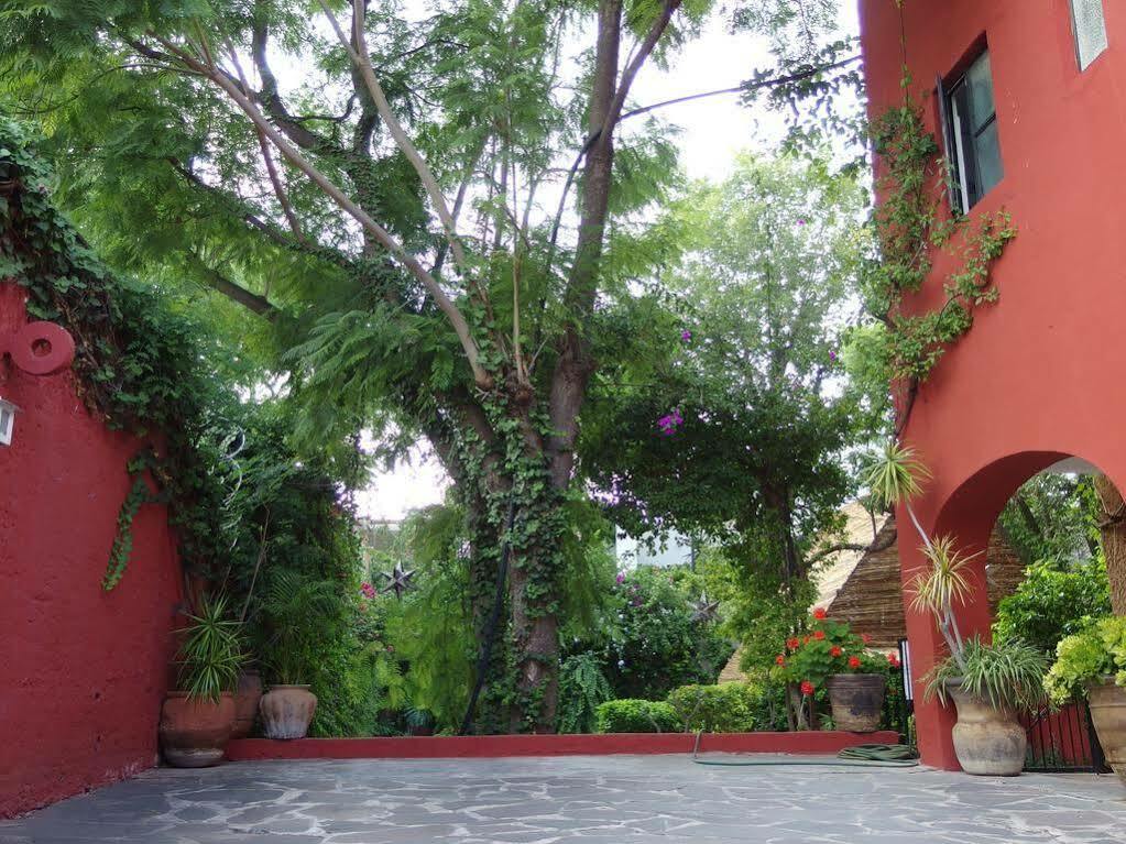 Casa De Las Conservas Comfort San Miguel de Allende Eksteriør bilde